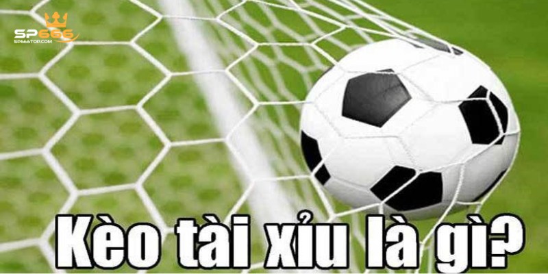 Giới thiệu sơ lược về kèo tài xỉu SP666 