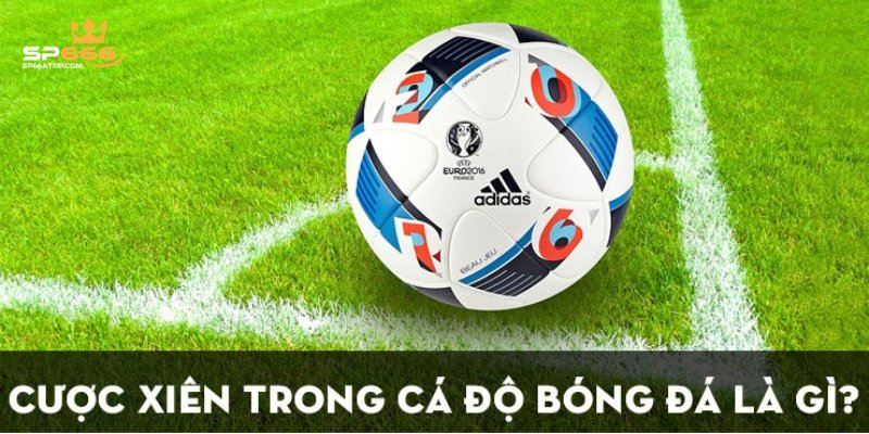 Người chơi cần nắm rõ luật  đọc kèo xiên