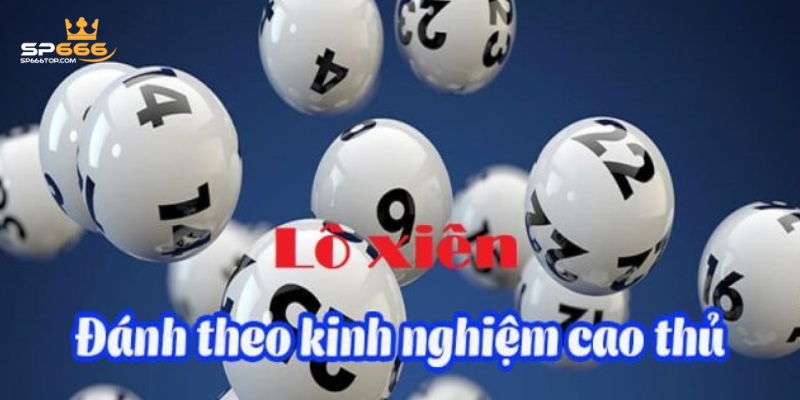 Mẹo chơi cược lô xiên dễ thắng cho người mới chơi