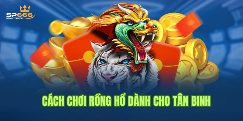 Rồng Hổ SP666 - Tìm Hiểu Luật Chơi Để Chiến Thắng Mọi Ván Game 1 Sơ lược thông tin về trò chơi Rồng Hổ SP666