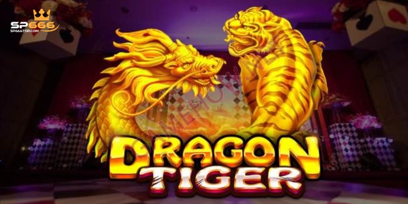 Rồng Hổ SP666 - Tìm Hiểu Luật Chơi Để Chiến Thắng Mọi Ván Game 3 Những quy tắc cơ bản khi tham gia Rồng Hổ SP666