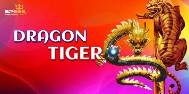 Rồng Hổ SP666