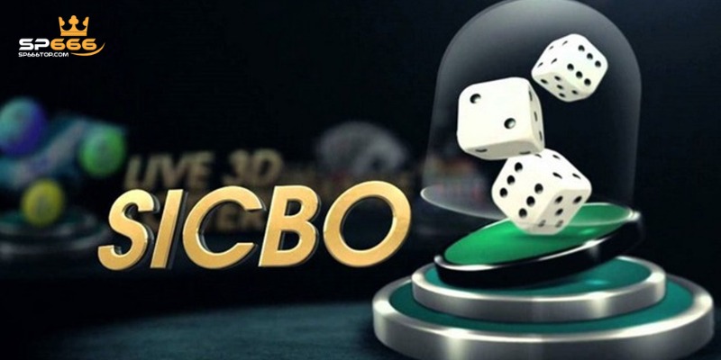 Cách chơi Sicbo cược Tài/Xỉu đơn giản nhất