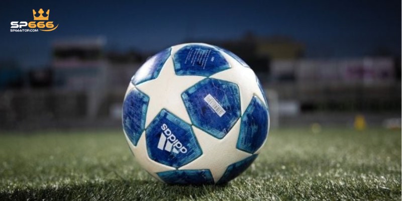 Ưu đãi độc quyền từ SP666 khi tham gia cá cược tại sảnh 